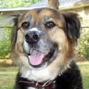 Riggs was adopted in July, 2007